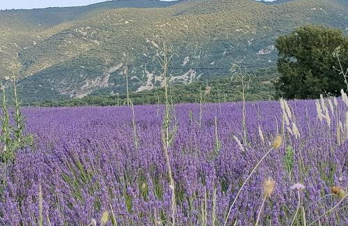 Charming house in Provence, 2 to 10 people - Foto 18