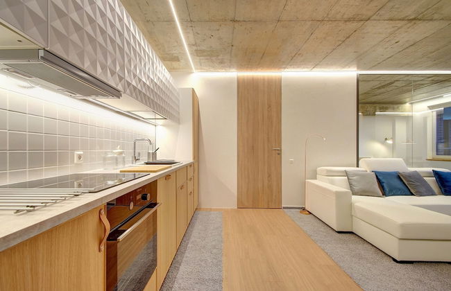 Kauno-Algirdo Luxury Vilnius Apartments - Photo 8