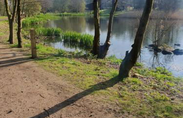 Chillingham lodge with hot tub Felmoor Park - Foto 16