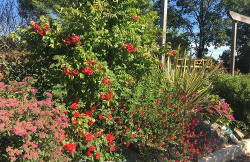 Olisios, beautiful farmhouse with private pool - Foto 40