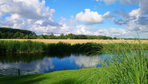 Haus Vivienne - Foto 2, Garden