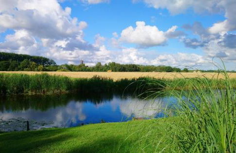 Haus Vivienne - Foto 2