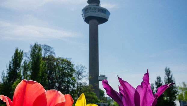 Tour Euromast à Rotterdam