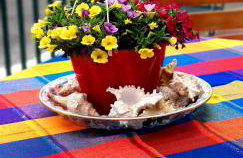 Elizas house - Foto 13