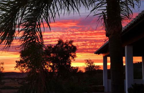 Sharish - Monte Das Estevas - Foto 28