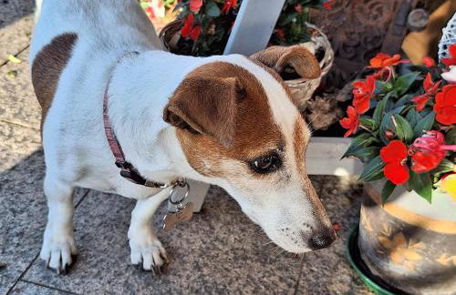 Christianshof - Photo 18