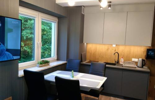 Kurort Kozubnik Apartament 33 Wellness &SPA - Foto 38