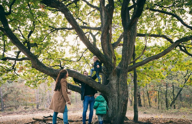 Bungalow Near Breda & De Biesbosch Park - Photo 33