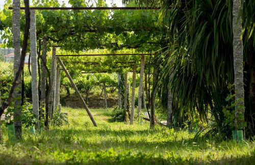 Quinta de Lourosa - Foto 15