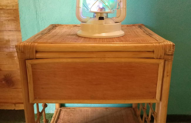 Berkey's Jungle Paradise - Photo 1