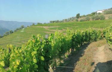 Quinta de Baixo - Photo 40