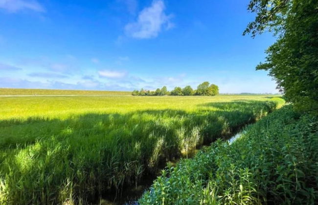Bungalow in Sondel Near Slotermeer Lake - Foto 27