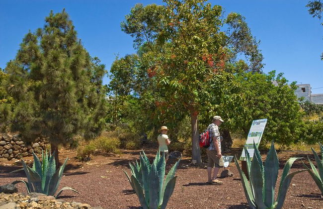 "Pyramiden von Güímar Eintritt PREMIUM Ticket" - Foto 22