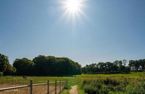 Wohnung nahe Ostsee Kühlungsborn - Foto 29