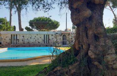 Villa con piscina Circeo - Sabaudia - Foto 7
