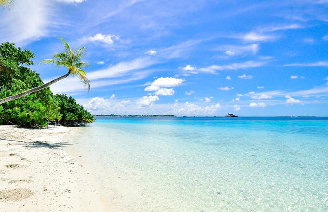 Discover Bohol with Private Chauffeur Services - Photo 4