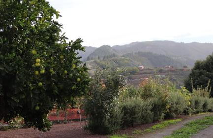 Casa rural Finca Don Amado, San Mateo - Foto 40