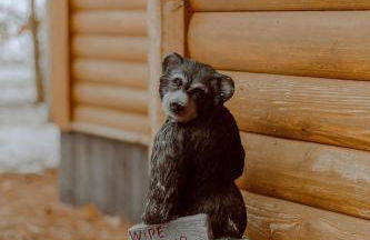 Private Cabin-Shuttle Pass Included! - Foto 7