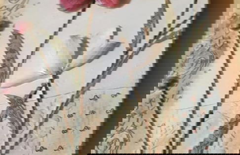 Masseria Frangiosa - Foto 51