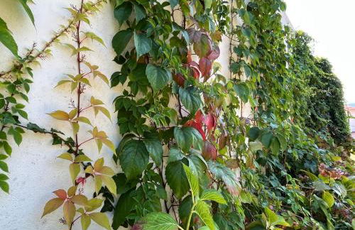 Casa da Quinta do Outeiro - Foto 80