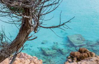 villa smeralda - Foto 13