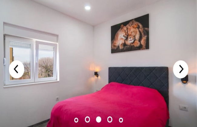 Apartments Andrea - Foto 2