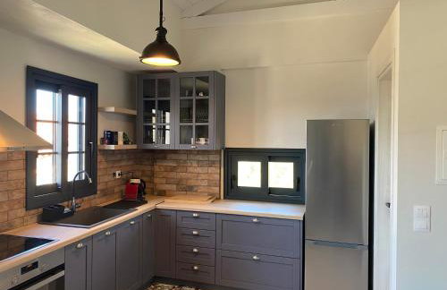 kipaki-trachila Mani - Foto 18