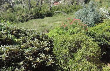 Alexandra Spingou Apartments - Foto 49