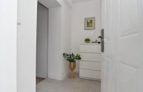 Apartman Gluić - Foto 2