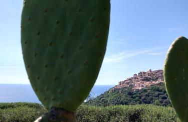 Agriturismo Cally Cally - Foto 73