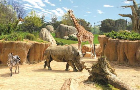 San Rocco - Photo 20