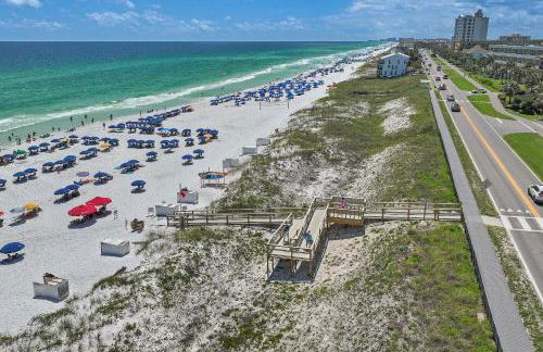 Sandy Pelican - Foto 54