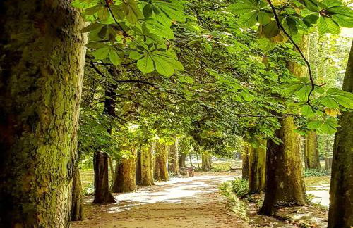 Villa Castro - Photo 66