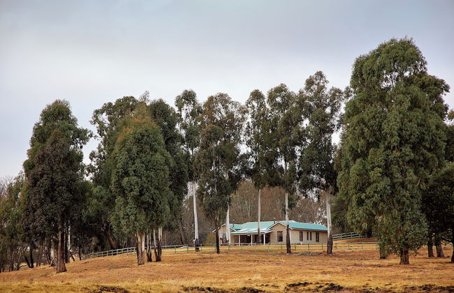 Bergview Farm Cottages by First Private Stays - Photo 36