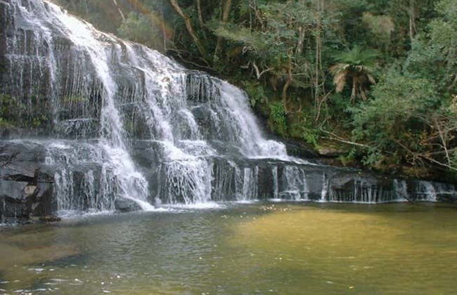 Excursion à Castro et au Canyon Guartelá - Photo 7