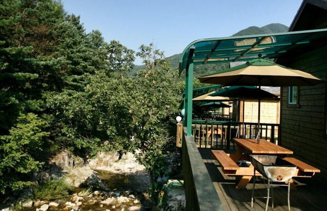 Hurb Green - Foto 61