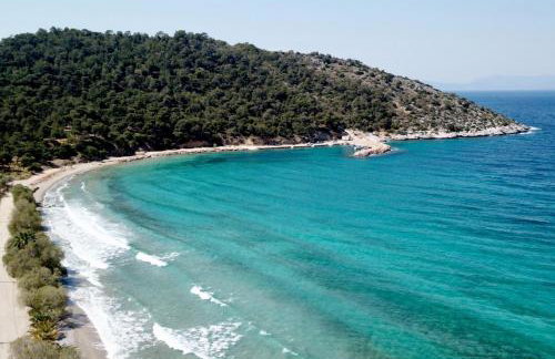 Ellora Suite - Foto 69