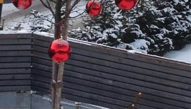 Schuster Emma - Foto 4