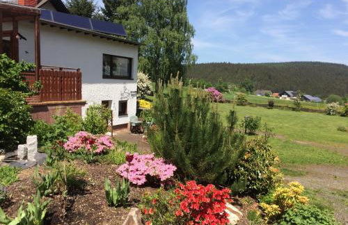 Haus am Wald - Urlaub am Nationalpark - Foto 3