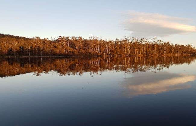 Lake Yalleena Nature Retreat - Foto 26