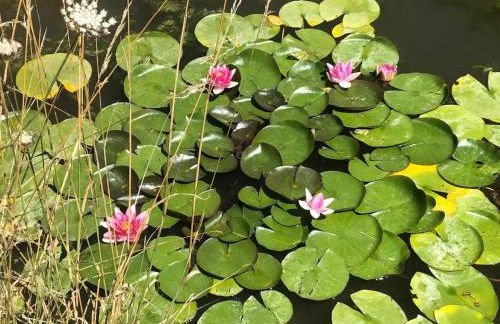 Holiday Home Landhaus mit eingezäuntem Garten by Interhome - Foto 20