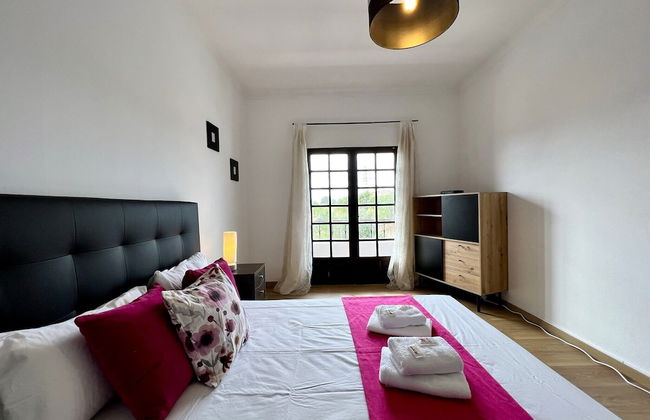 Silves Classic by Homing - Photo 4