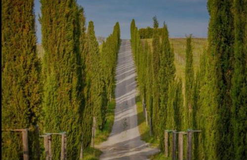 House with a view in Tuscany - Foto 57