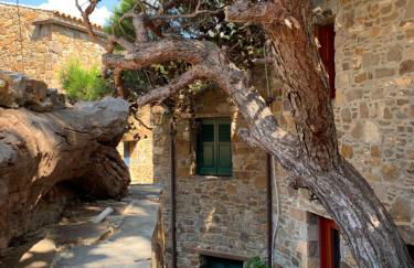 Lithos Homes - Foto 48