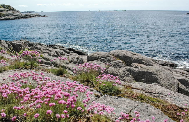 Nedregård - Foto 45