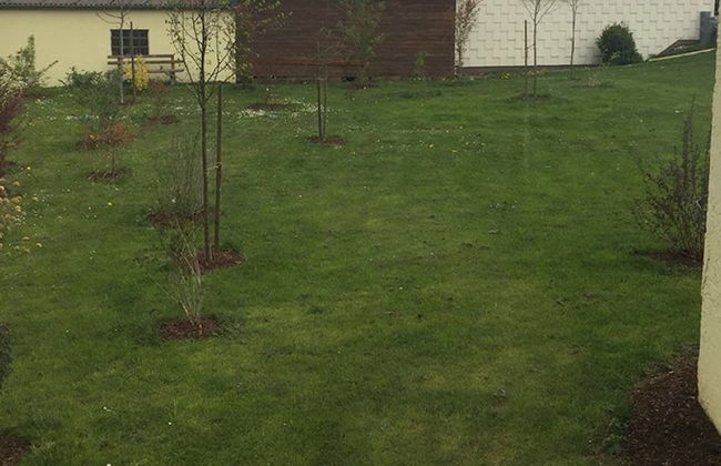 Ferienhaus Herrenhaus - Foto 9