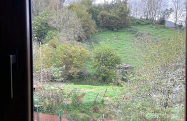 Los Paxarinos - Foto 27