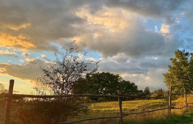 The Tower With Amazing View Shared Pool - Foto 45