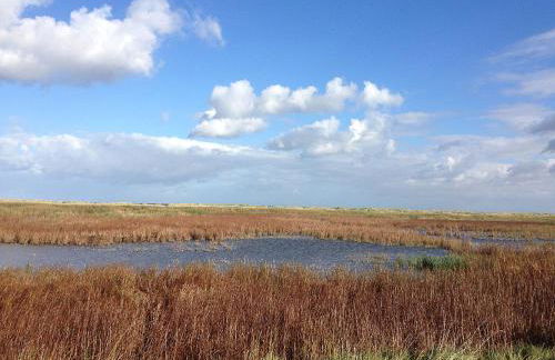 Ferienwohnungen Felix und Jan - Photo 23
