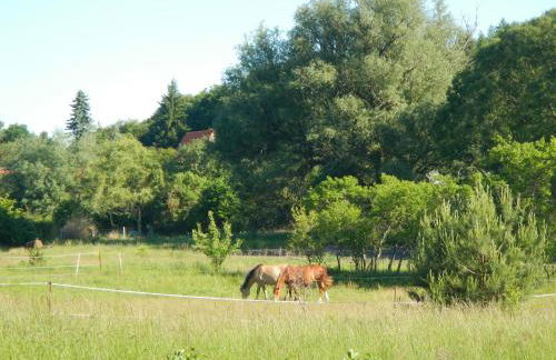 Ferienlandhaus Zempow - Photo 19